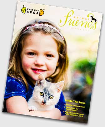 SPCA Animal Friends magazine